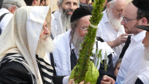 Loofhuttenfeest jeruzalem