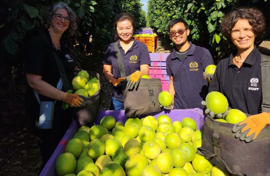 staff fruit picking