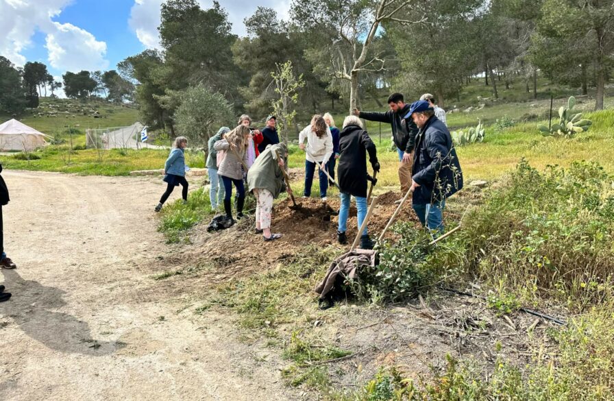 Tour members planting oak trees