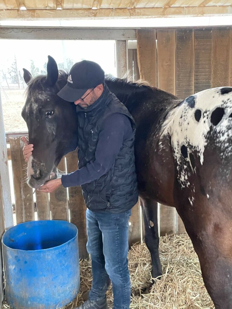 The ICEJ's new Appaloosa horse 'Marty' with his trainer Oded.