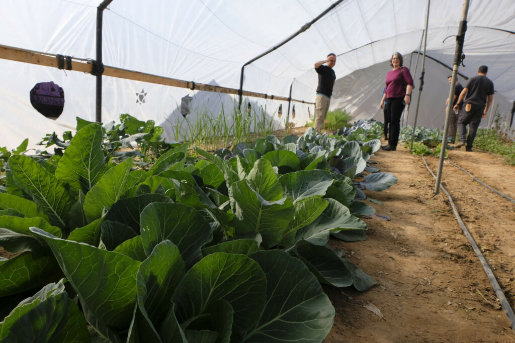 Agricultural school and greenhouse project in southern Israel