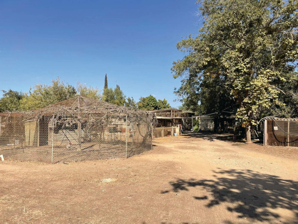 Animal therapy dilapidated petting farm