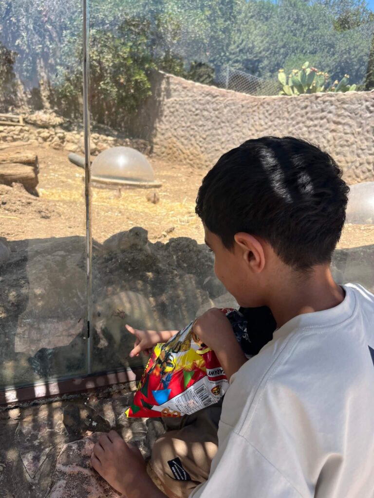 Domari children at the zoo